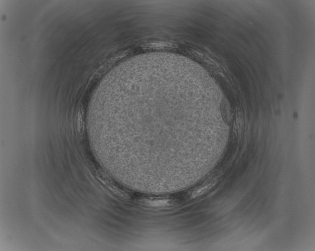 X0000081450651200702092251