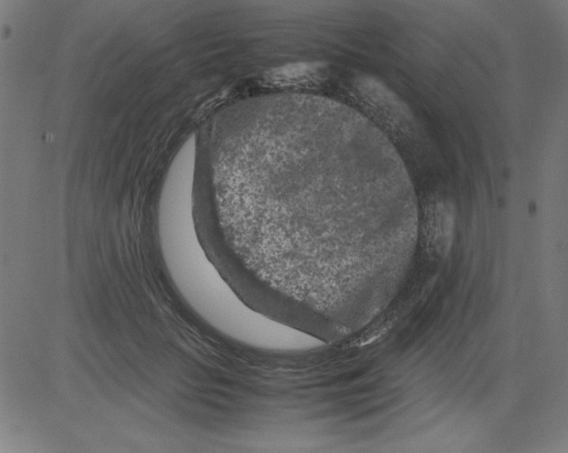 X0000081450653200702092251
