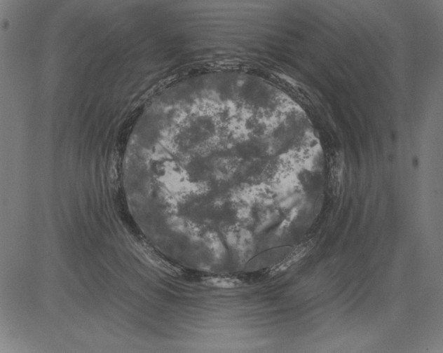 X0000081450654200702092251