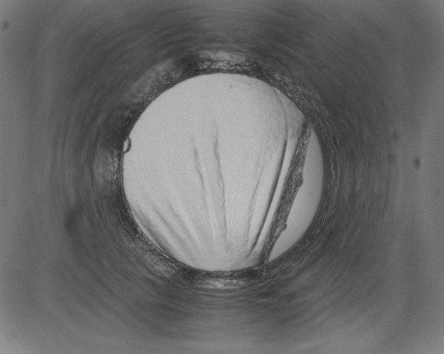 X0000081450657200702092251