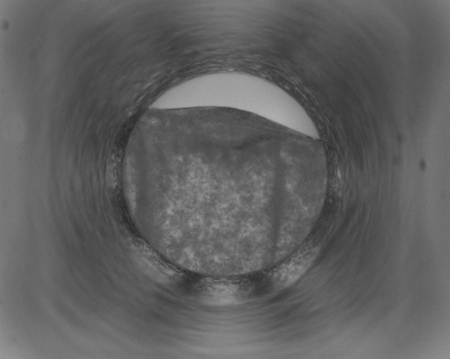 X0000081450658200702092251
