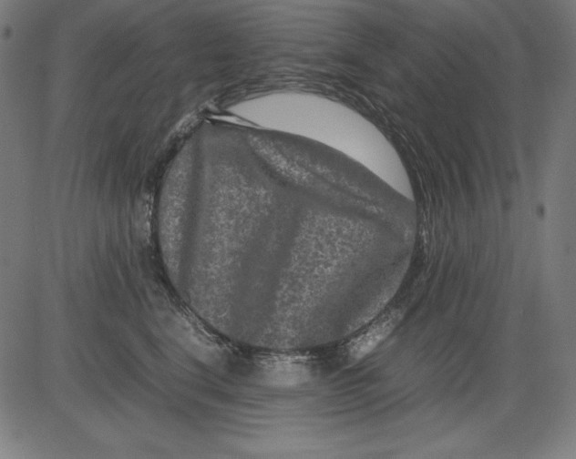 X0000081450664200702092251