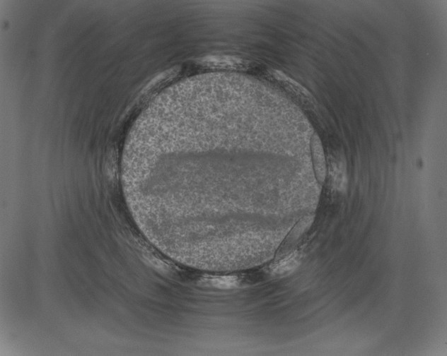 X0000081450665200702092251