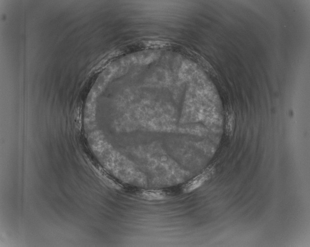 X0000081450666200702092251