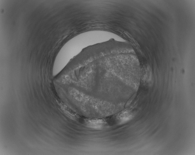 X0000081450669200702092251