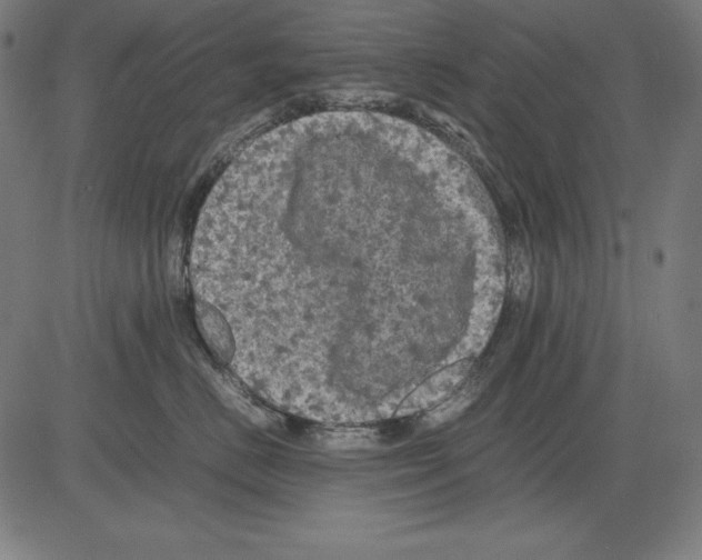 X0000081450670200702092251