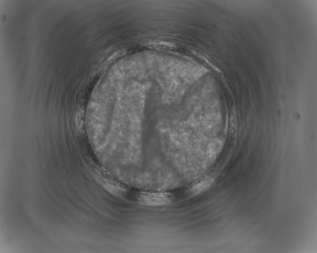 X0000081450671200702092251