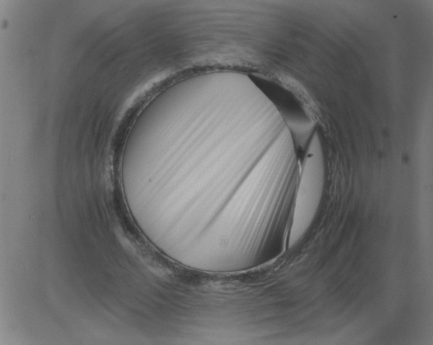 X0000081450680200702092250