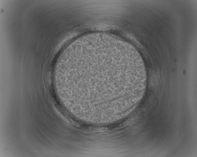 X0000081450683200702092250