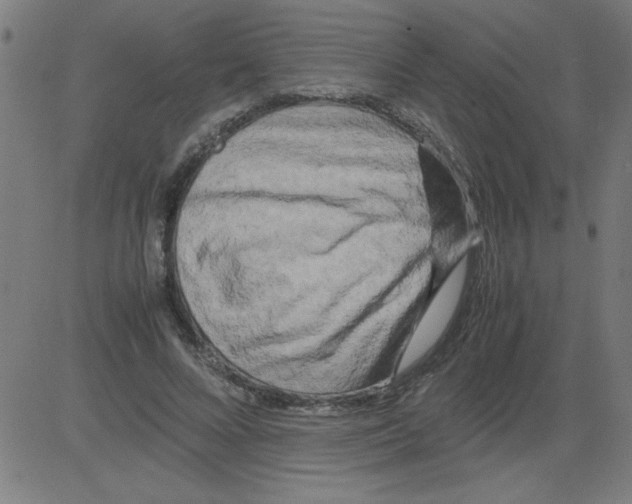 X0000081450688200702092250