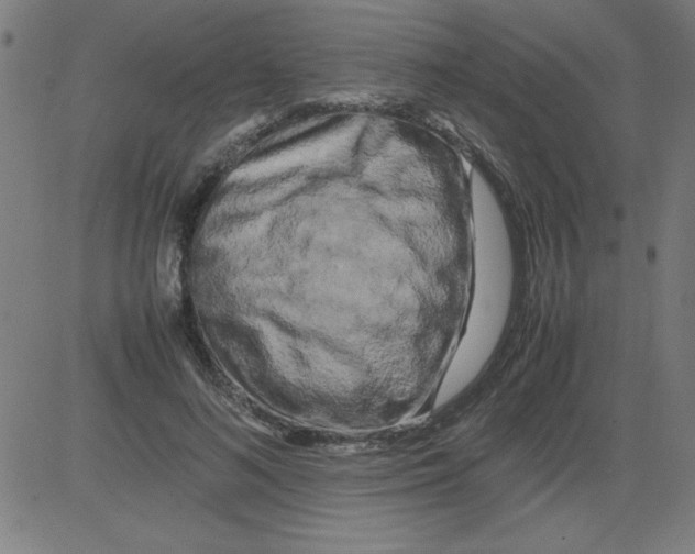 X0000081450692200702092250