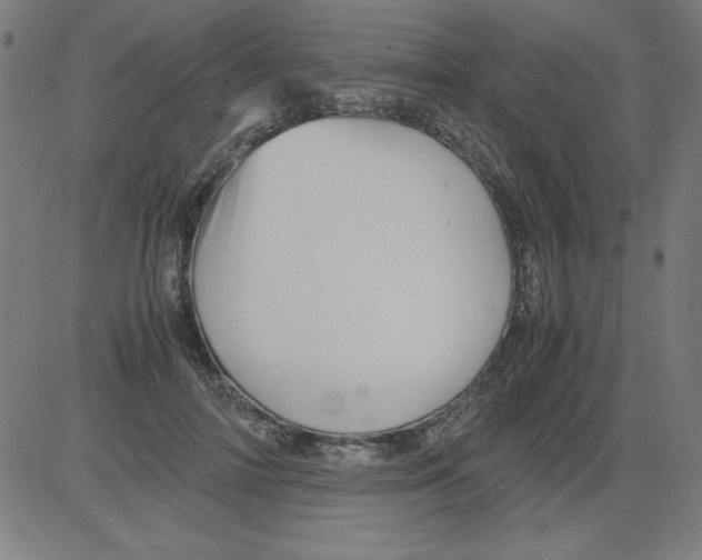 X0000081450698200702092250