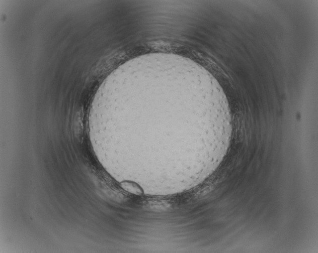 X0000081450702200702092250