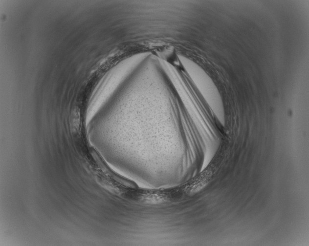 X0000081450704200702092250