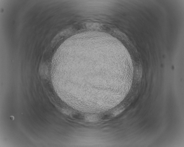 X0000081450705200702092250