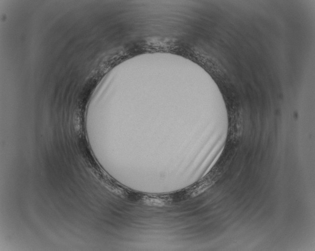 X0000081450706200702092250