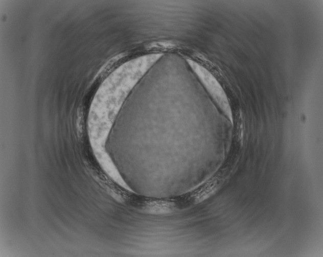 X0000081450708200702092250