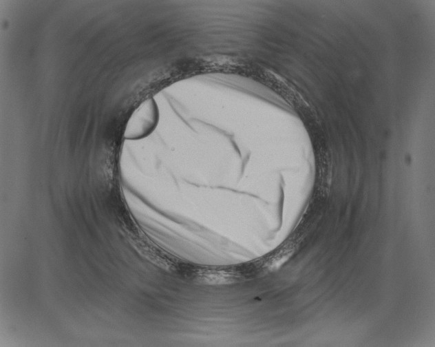X0000081450710200702092250