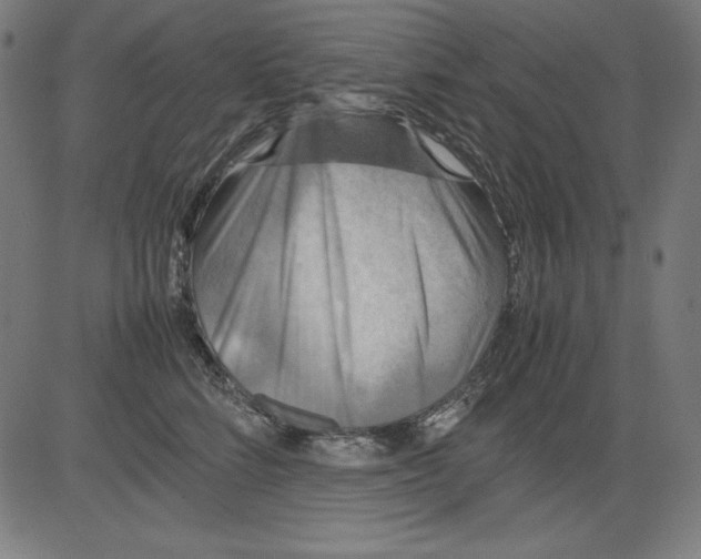 X0000081450712200702092250