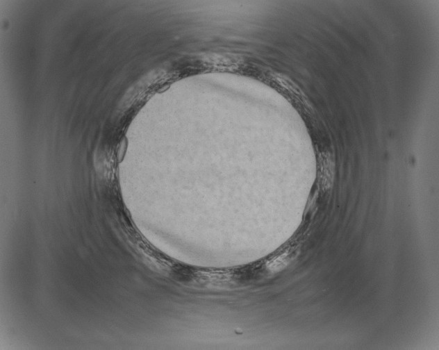 X0000081450713200702092250