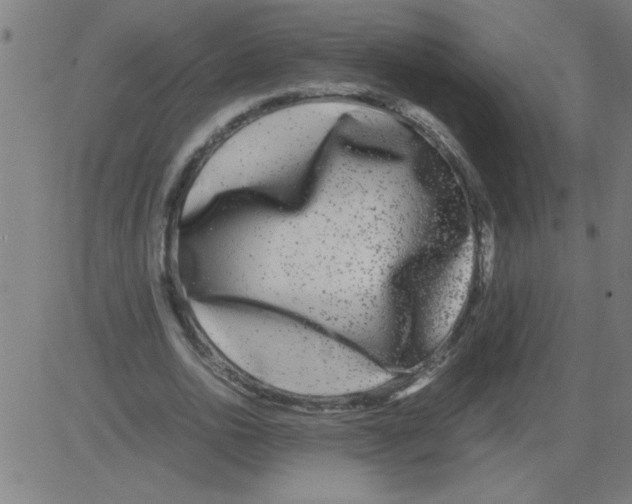 X0000081450726200702092249