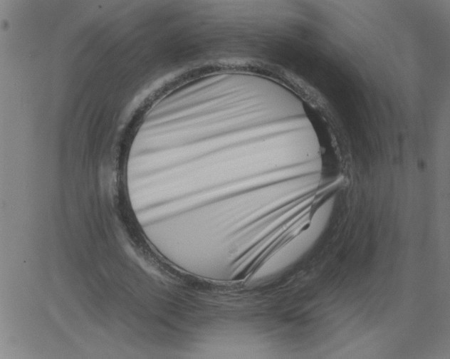 X0000081450728200702092249