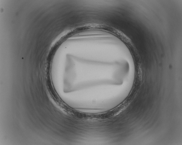 X0000081450730200702092249