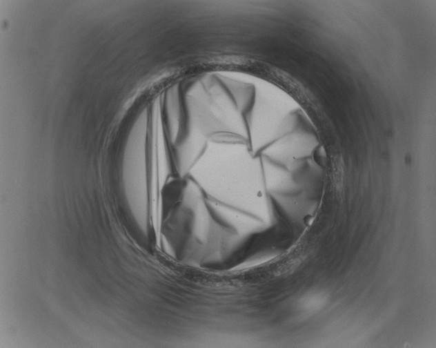 X0000081450731200702092249