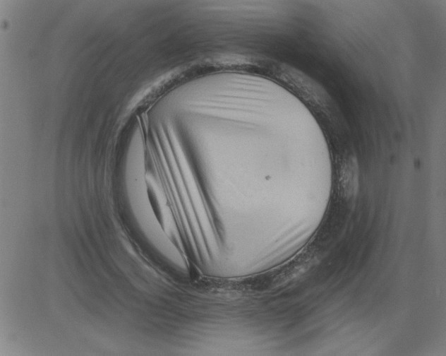 X0000081450732200702092249
