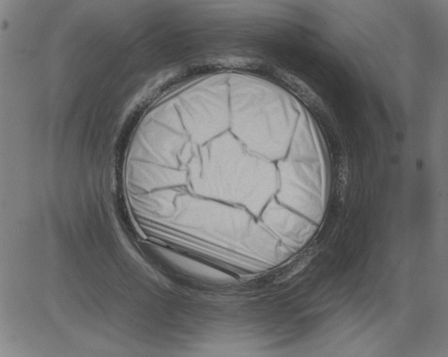 X0000081450734200702092249