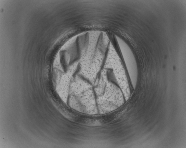 X0000081450735200702092249