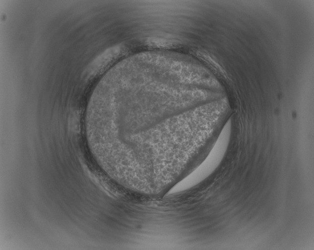 X0000081450738200702092249