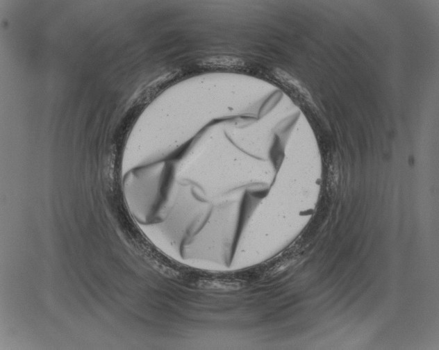 X0000081450739200702092249