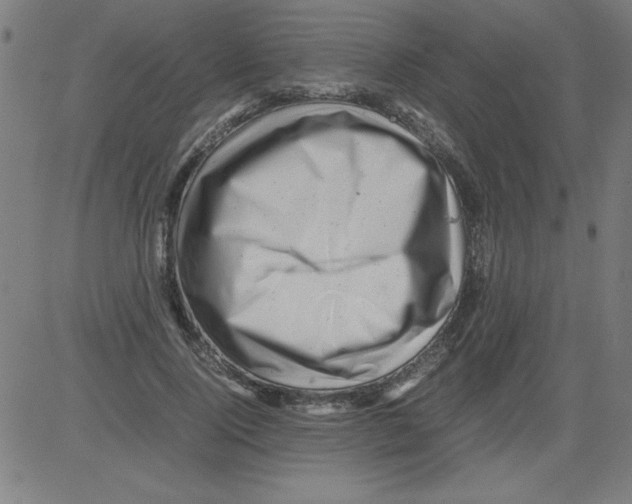 X0000081450740200702092249
