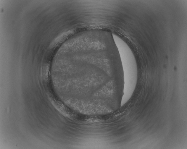 X0000081450742200702092249
