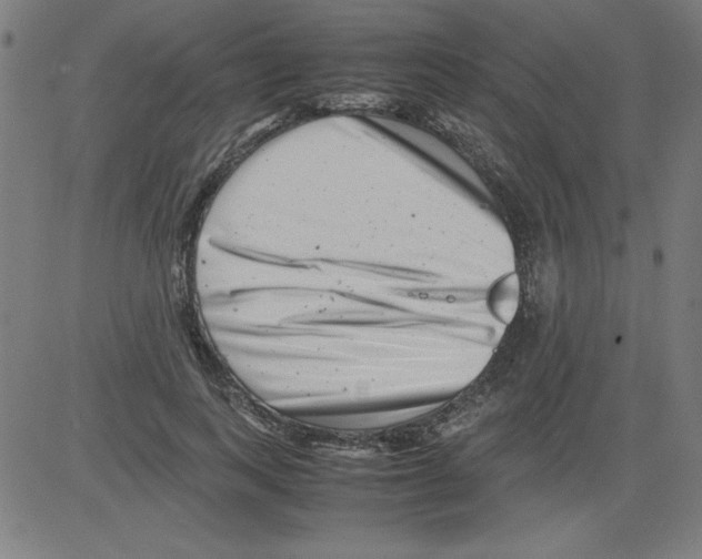 X0000081450743200702092249
