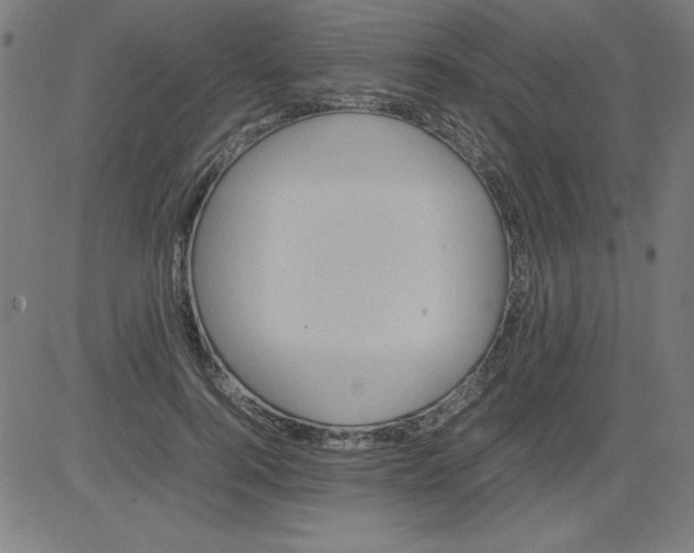 X0000081450744200702092249