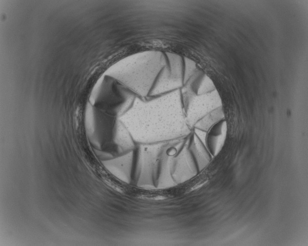 X0000081450747200702092249