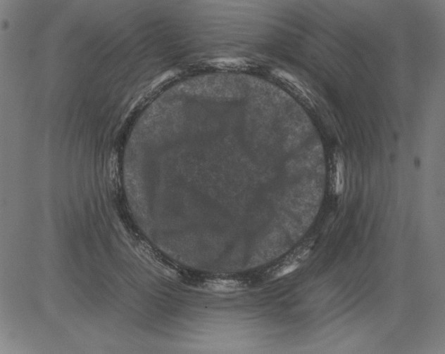 X0000081450748200702092249