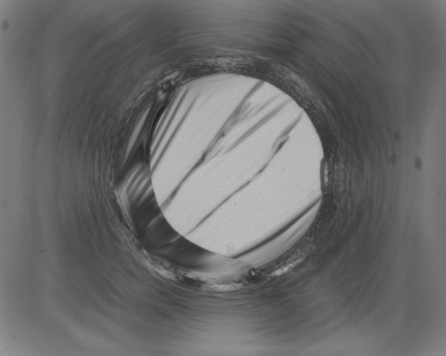 X0000081450750200702092249