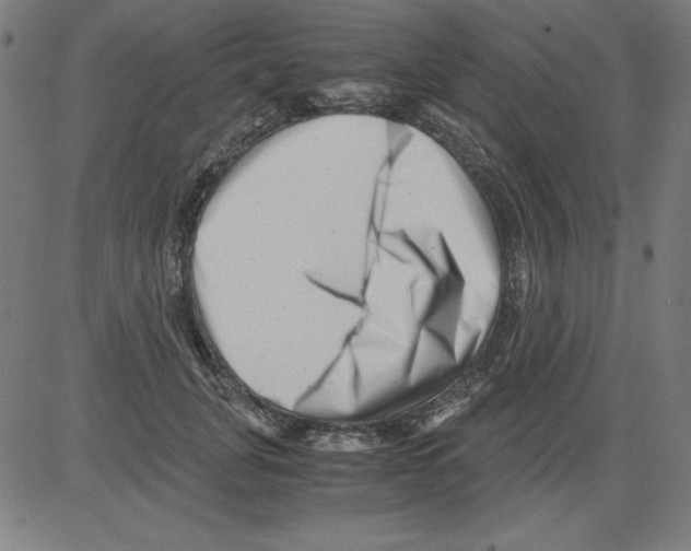 X0000081450751200702092249