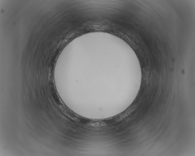 X0000081450752200702092249