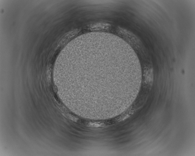 X0000081450753200702092249