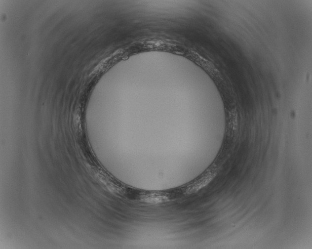 X0000081450754200702092249
