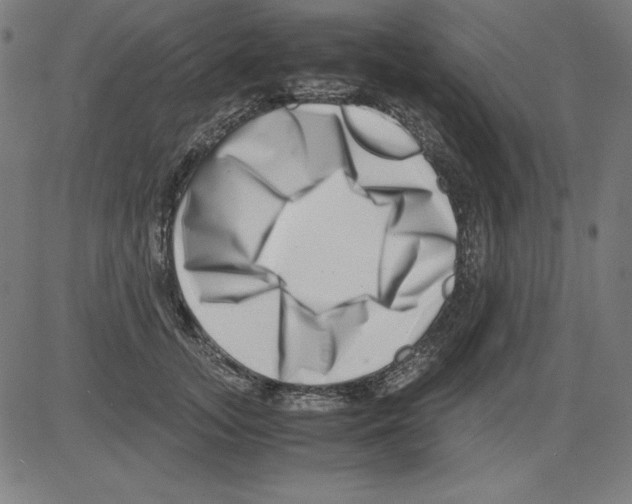 X0000081450755200702092249