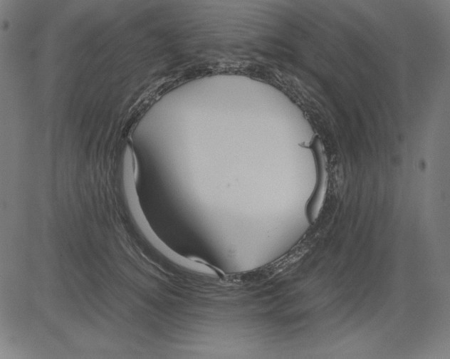 X0000081450756200702092249
