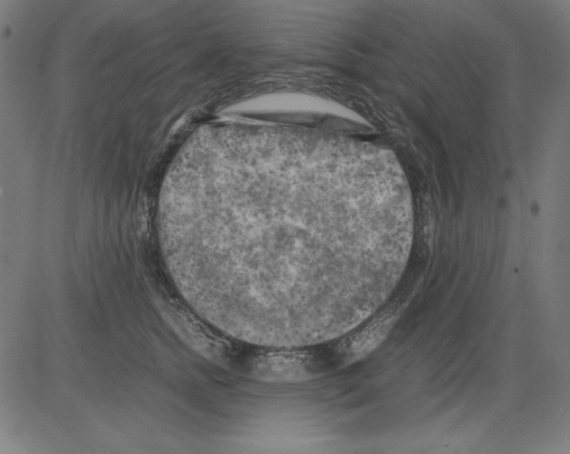 X0000081450758200702092249