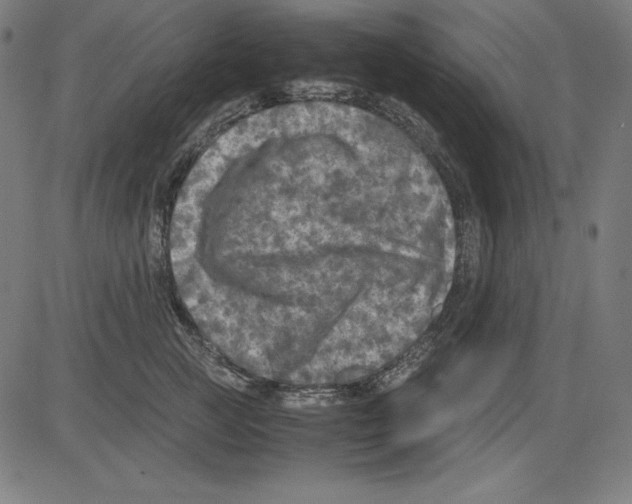 X0000081450761200702092249