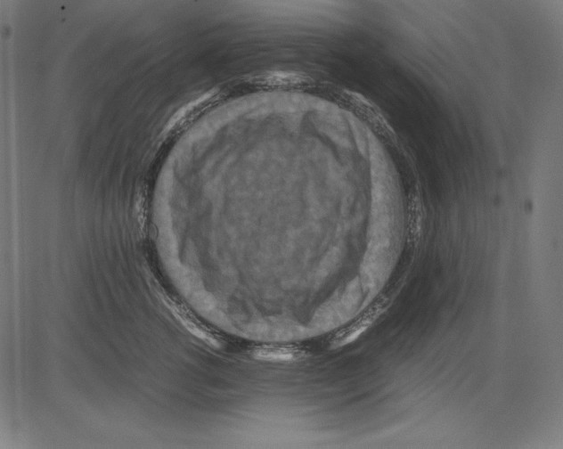 X0000081450762200702092249