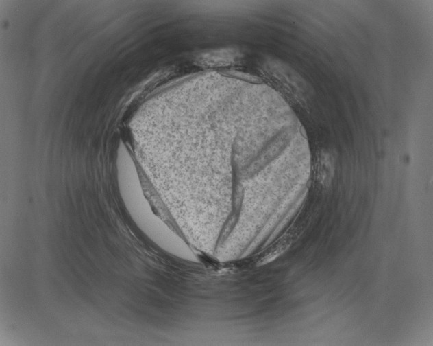 X0000081450763200702092249